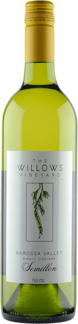 Willows Old Vine Semillon